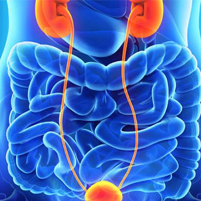 Urology